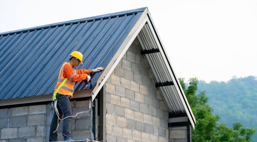 Professional gutter cleaning in Wenona, IL